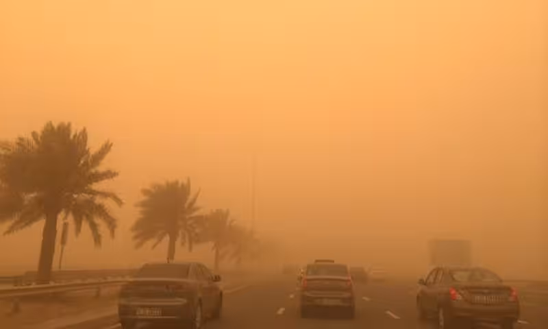 Beyond the Basics: Why Car Color Matters in the UAE