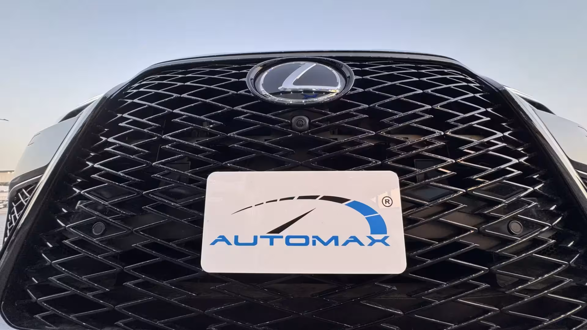 Lexus LX Export: LX 600 vs LX 700h & Automax® Guide