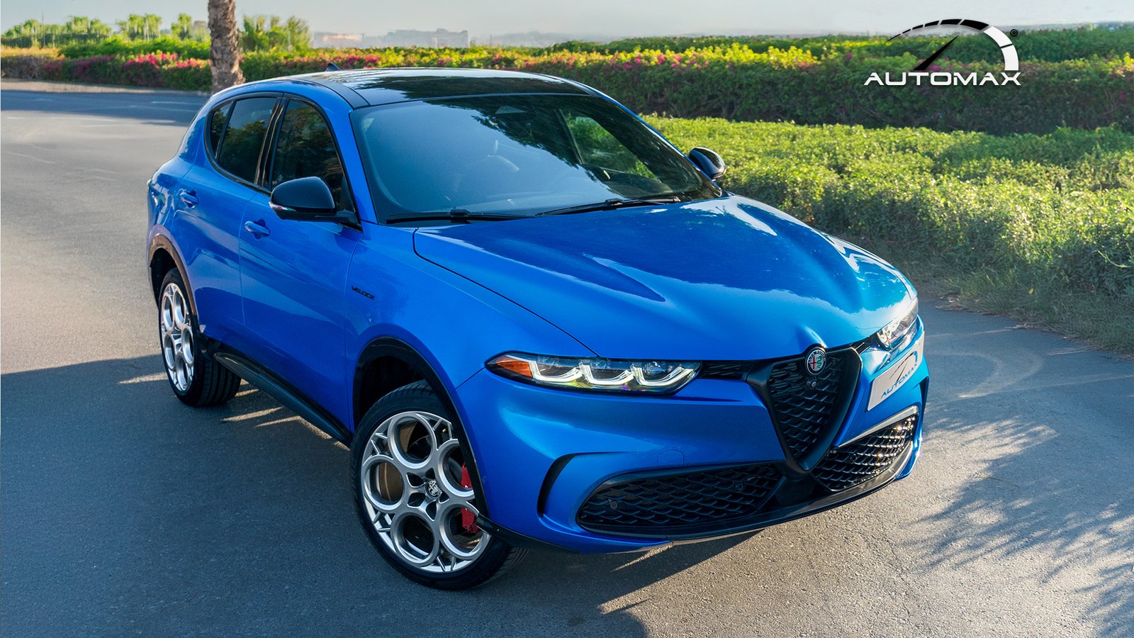 2024 alfa romeo blue