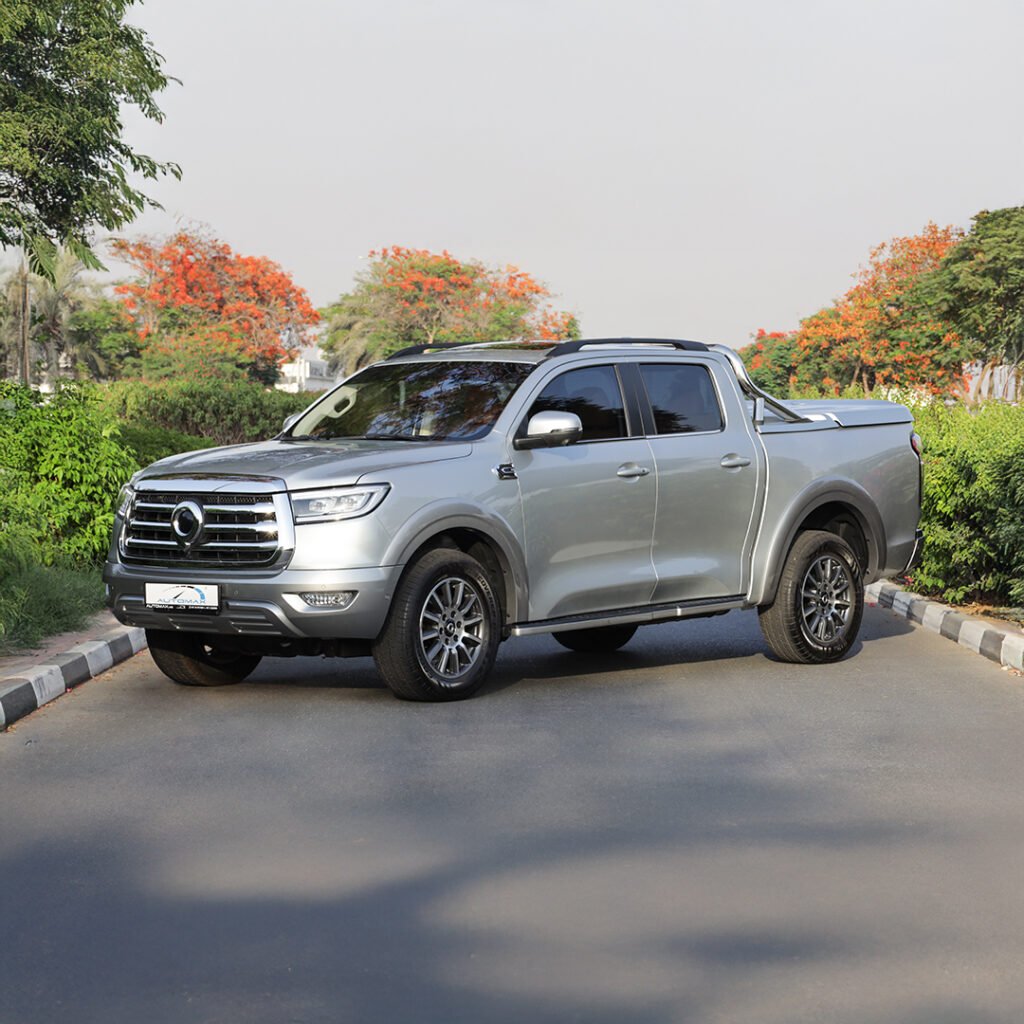 2025 Great Wall Poer Silver