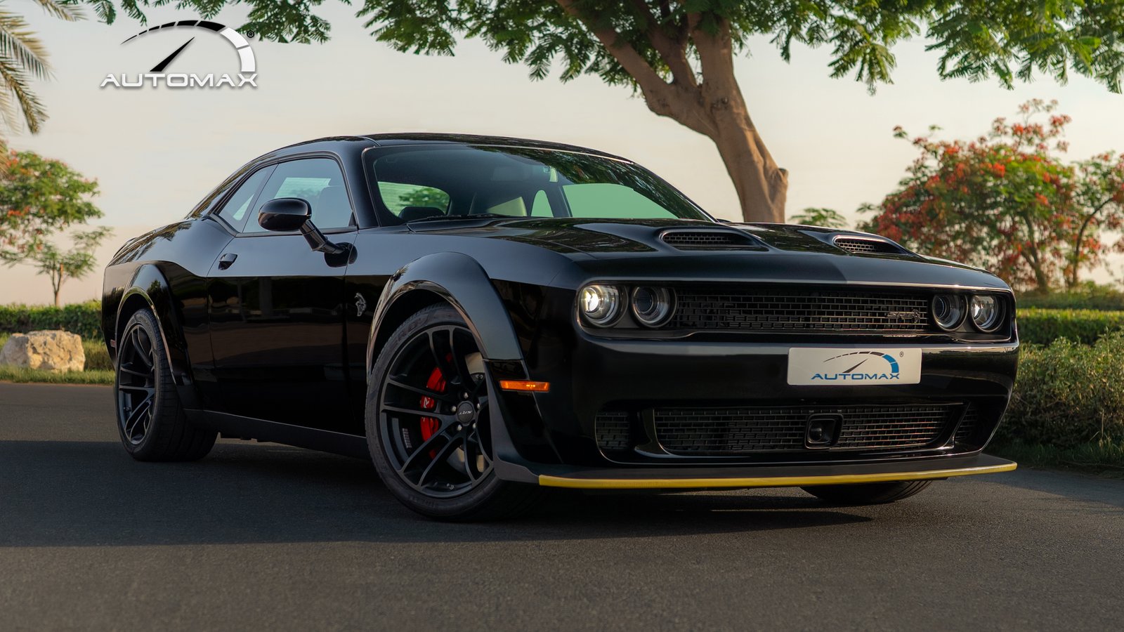 Challenger Black